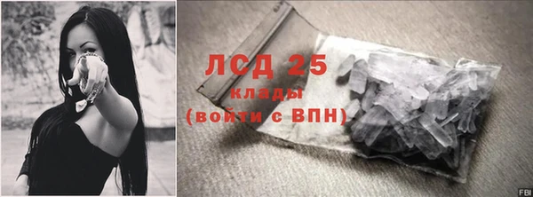 ПСИЛОЦИБИНОВЫЕ ГРИБЫ Арсеньев